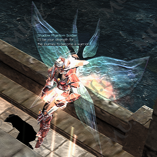 Shadow Phantom Soldier 1…4